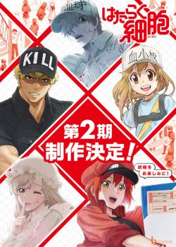 Phim Hataraku Saibou 2nd Season